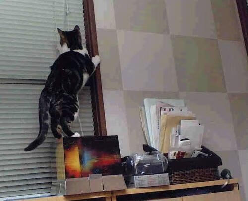 KAIYUN 中国大陆-_湖人积极追赶季后赛，势头渐入佳境_，湖人进入季后赛