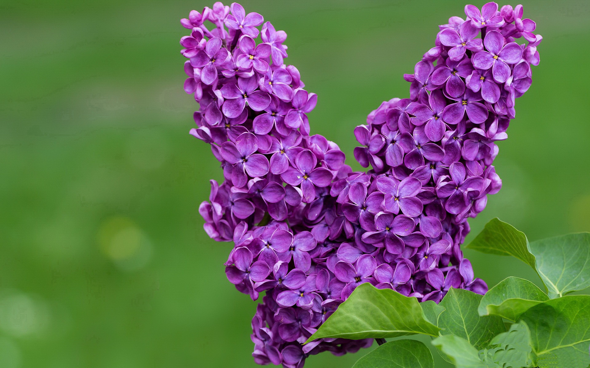 kaiyun官方网站-“未来之星”青少年篮球明星试训营在重庆全面启动，挖掘潜力新人