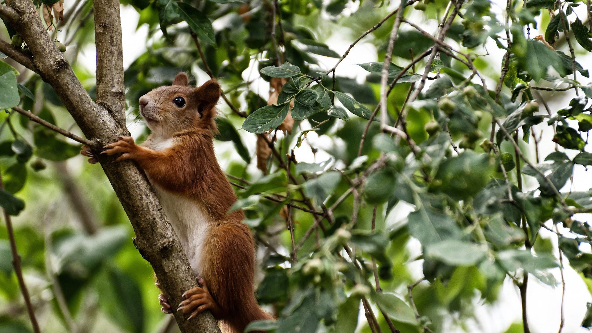 开云网页版登录入口-“青春启航”青少年篮球文化巡展在上海全面展开，弘扬体育精神