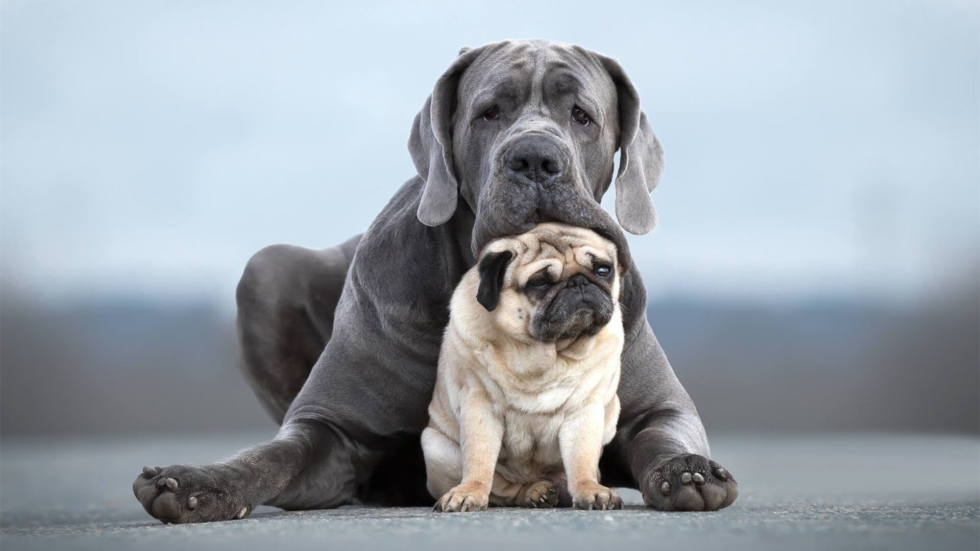 开云网页版-传奇球星的“第二春”：退役后转战公益和商业，引领新风潮，传奇球员续约