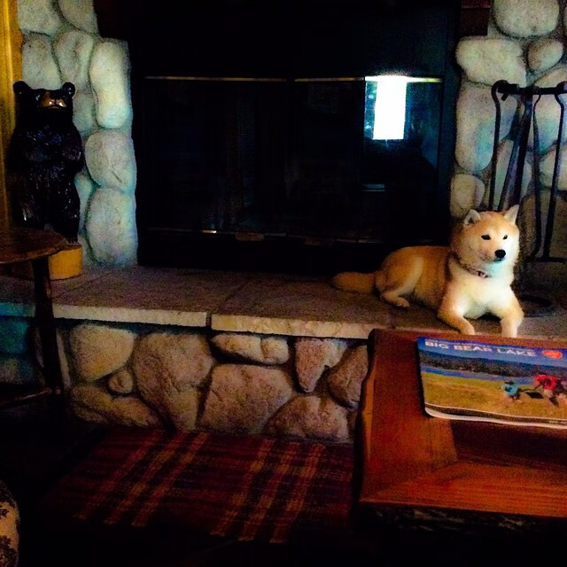 kaiyun开云·官方网站-媒体评论国足表现，呼吁改革，评价国足