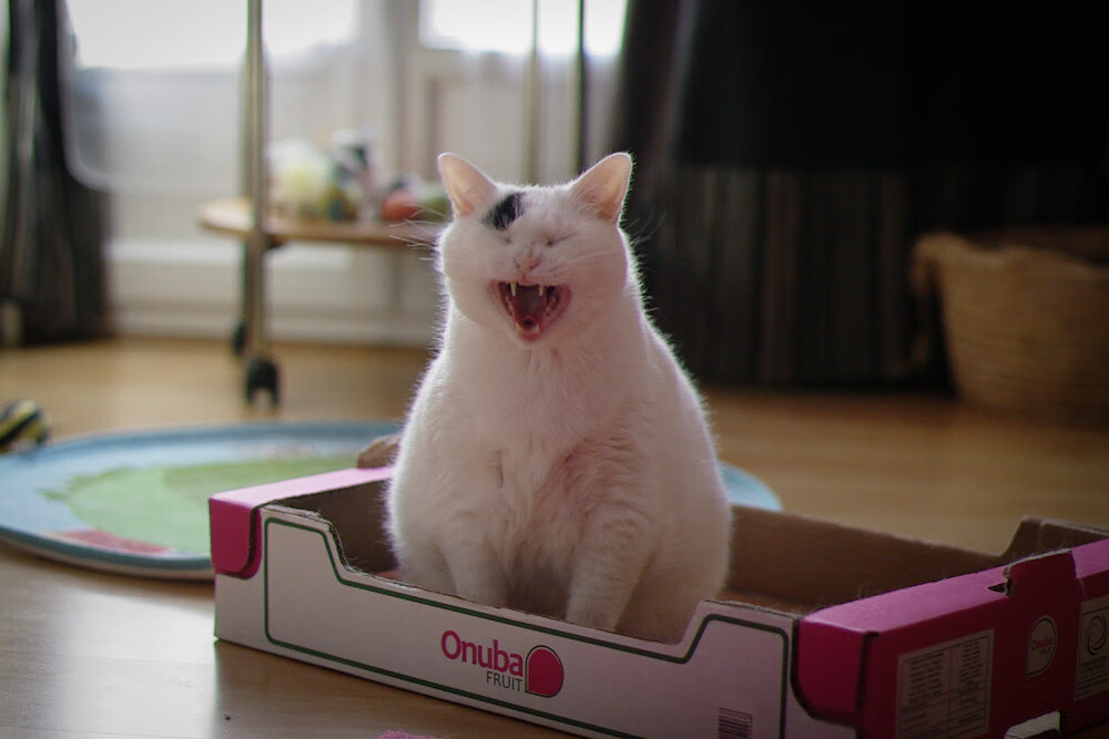 开云网页版登录入口-赛季最佳：当周最耀眼的球员表现盘点，2020到2021赛季最佳球员