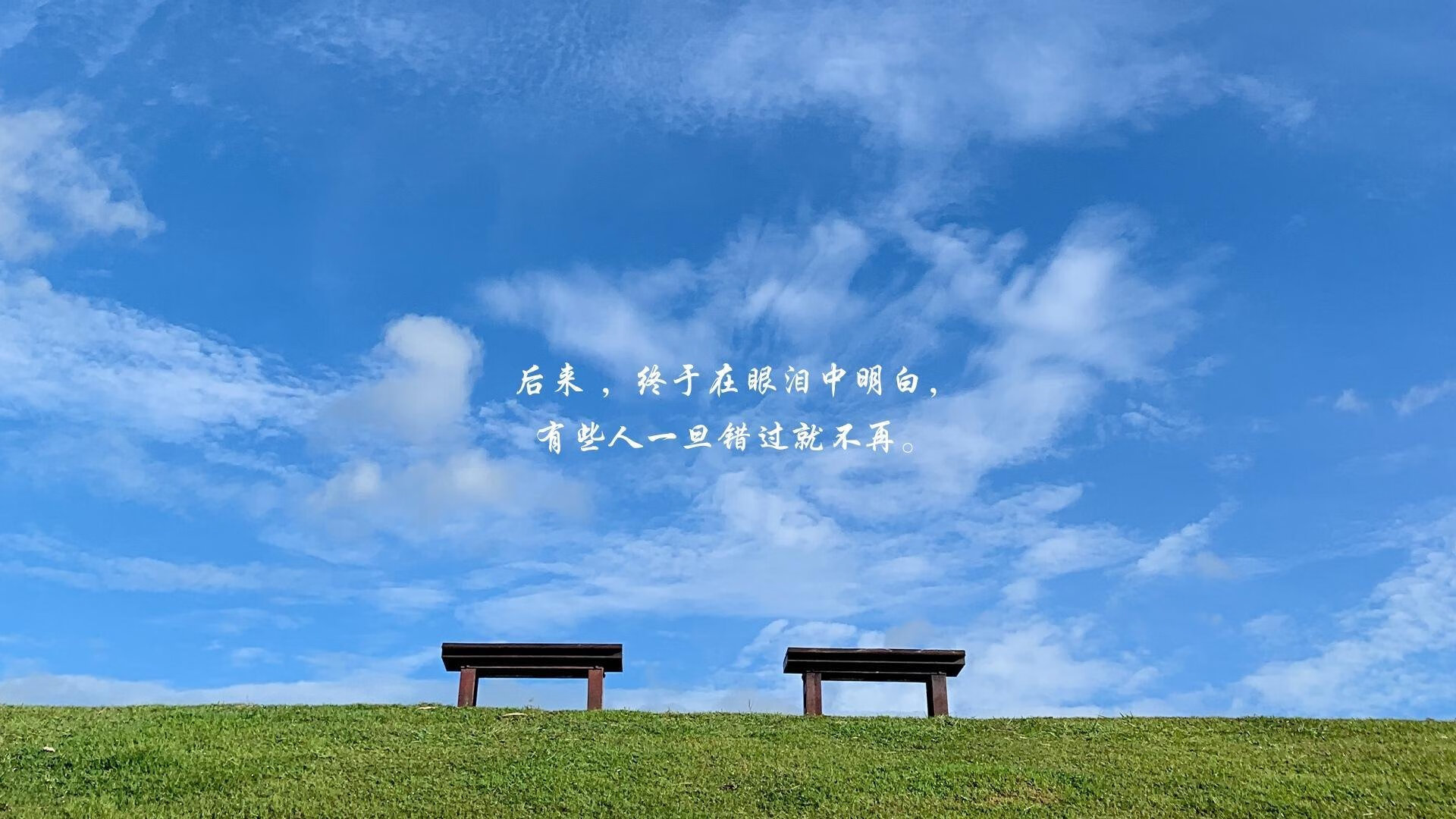 kaiyun体育app-匈牙利客场战平威尔士，晋级前景存疑，匈牙利对塞尔维亚宣战