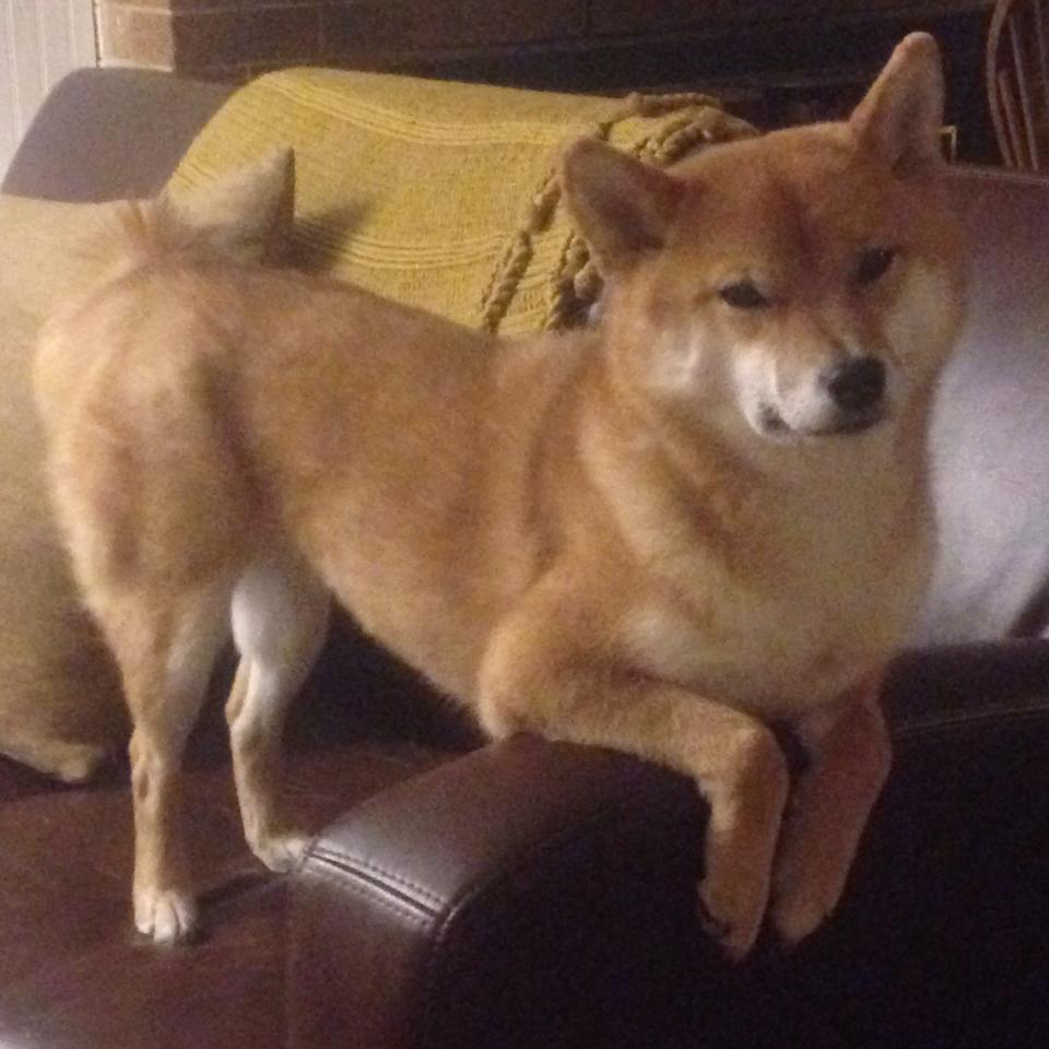 奥运会足球比赛中国对阵法国,双方实力均衡,里约奥运会中国对法国