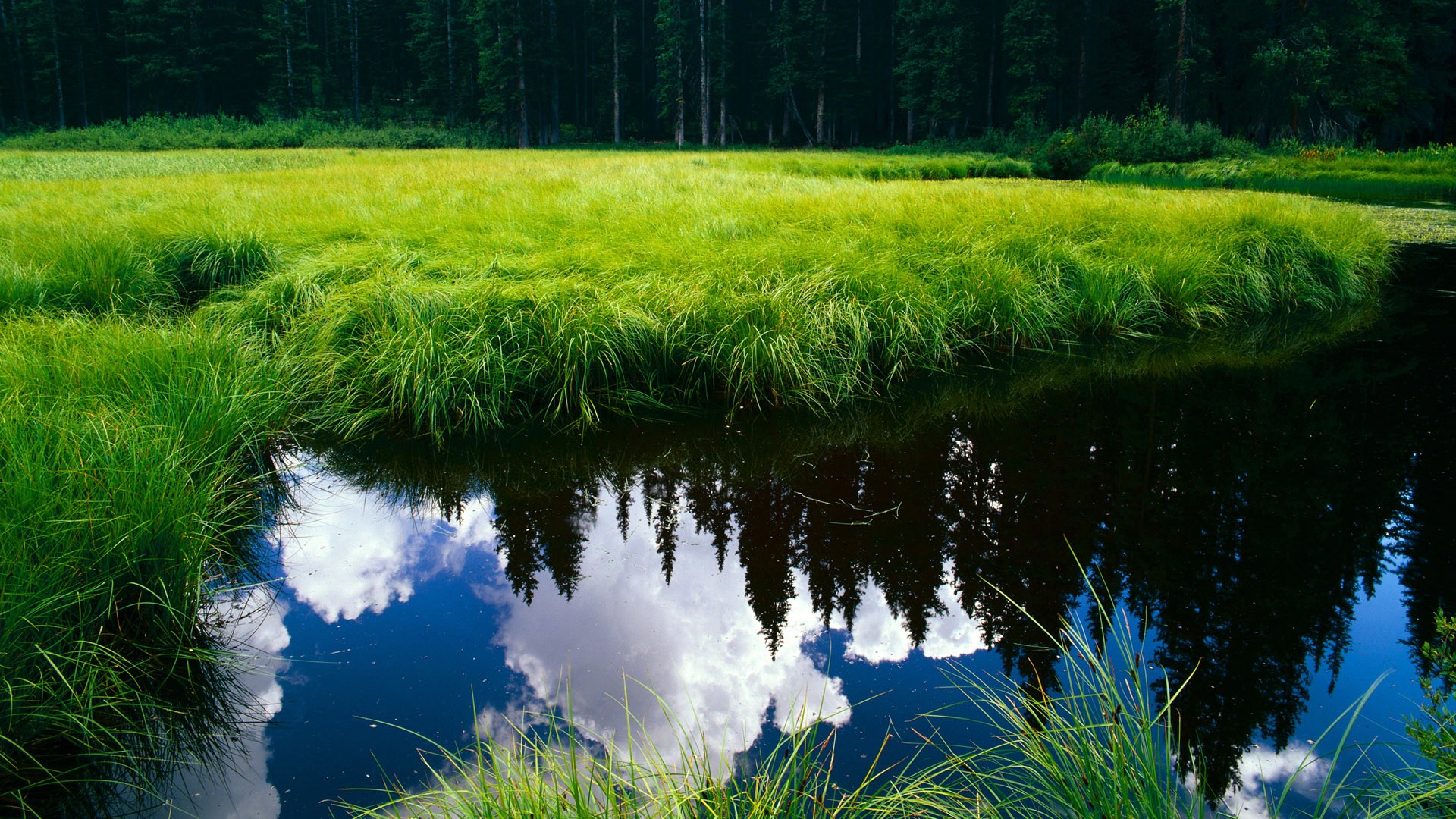 KAIYUN 中国大陆-巴西马术协会与澳大利亚马术协会签署人才交流协议，促进双向发展。