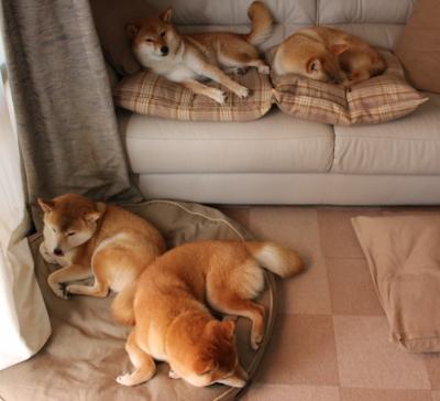 kaiyun体育综合-拜仁慕尼黑客场3-2逆转沃尔夫斯堡，艰难取胜，拜仁慕尼黑客场3-2逆转沃尔夫斯堡,艰难取胜了吗