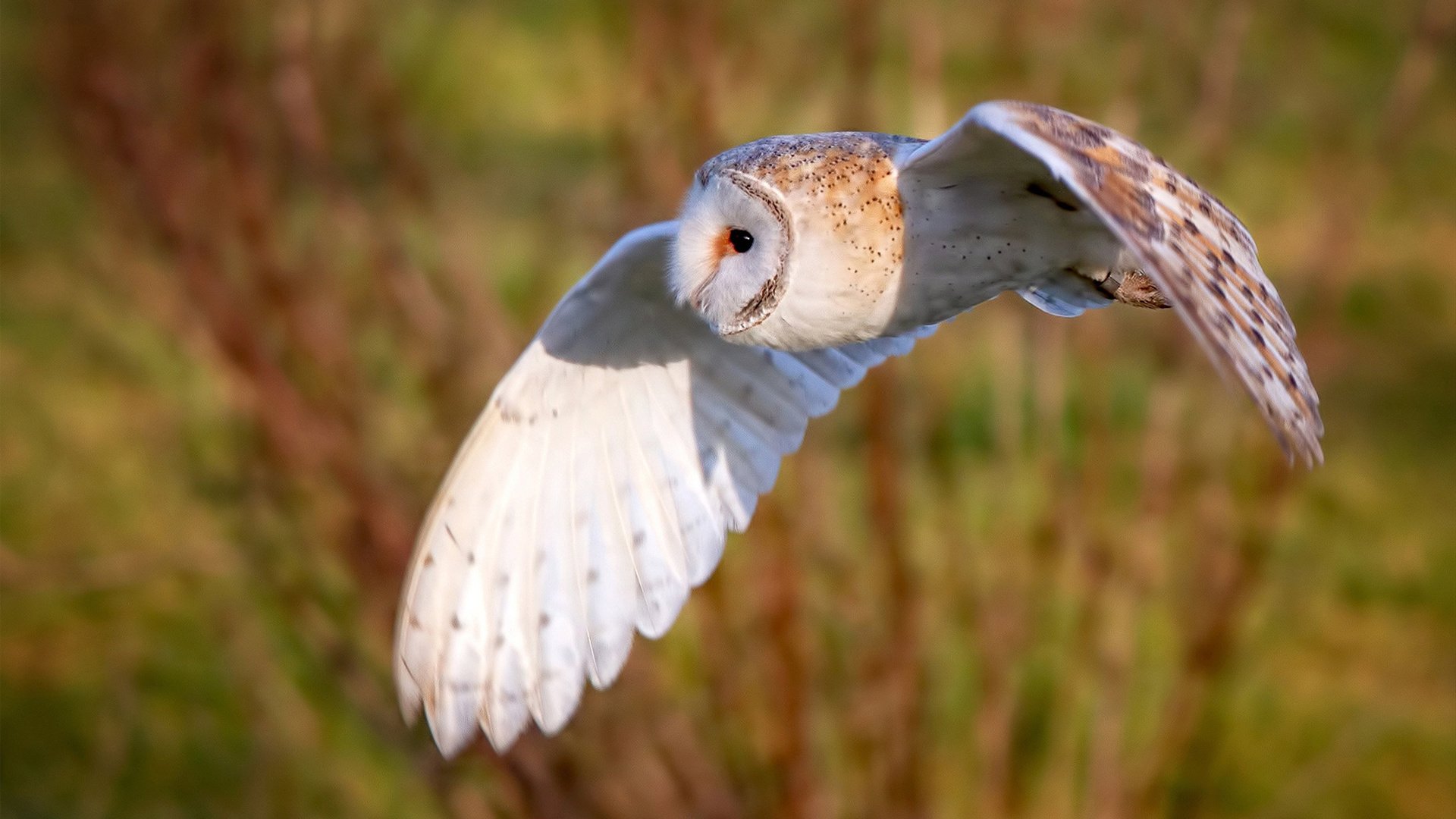 曼城连胜纪录遭终结,失利后索尔仁尼克想法,北京时间3月28日晚,曼联俱乐部官方宣布,索尔斯克