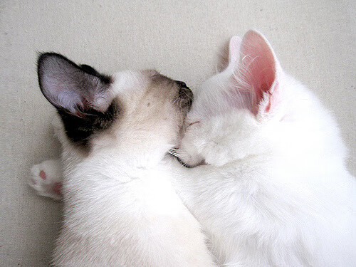 开云体育APP下载-湖人逆转勇士詹姆斯三分绝杀，詹姆斯1_3逆转勇士 视频