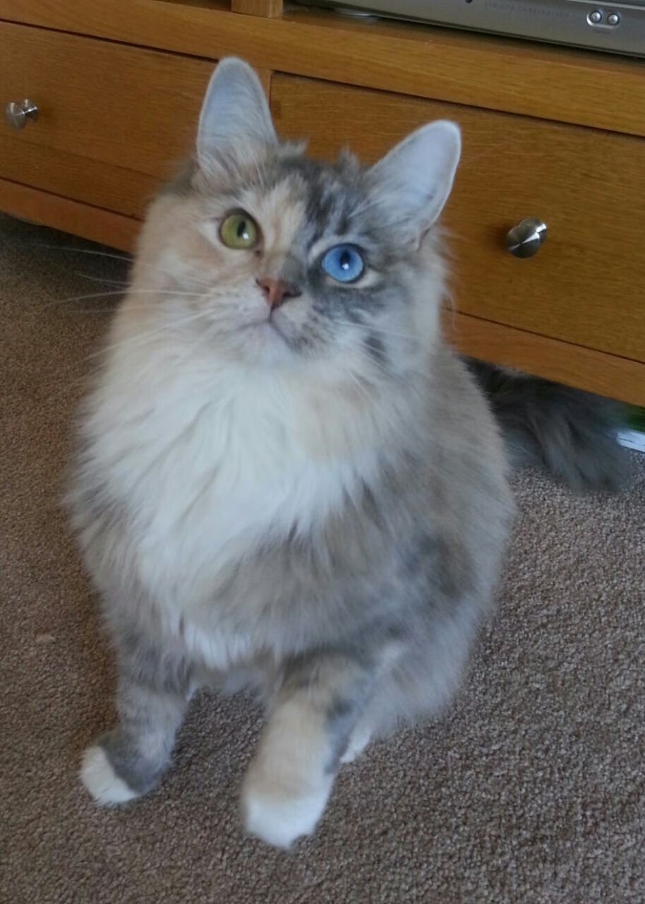 Kaiyun(中国)开云-狼队主场告捷，成功守住不败纪录，狼队主场叫什么名字