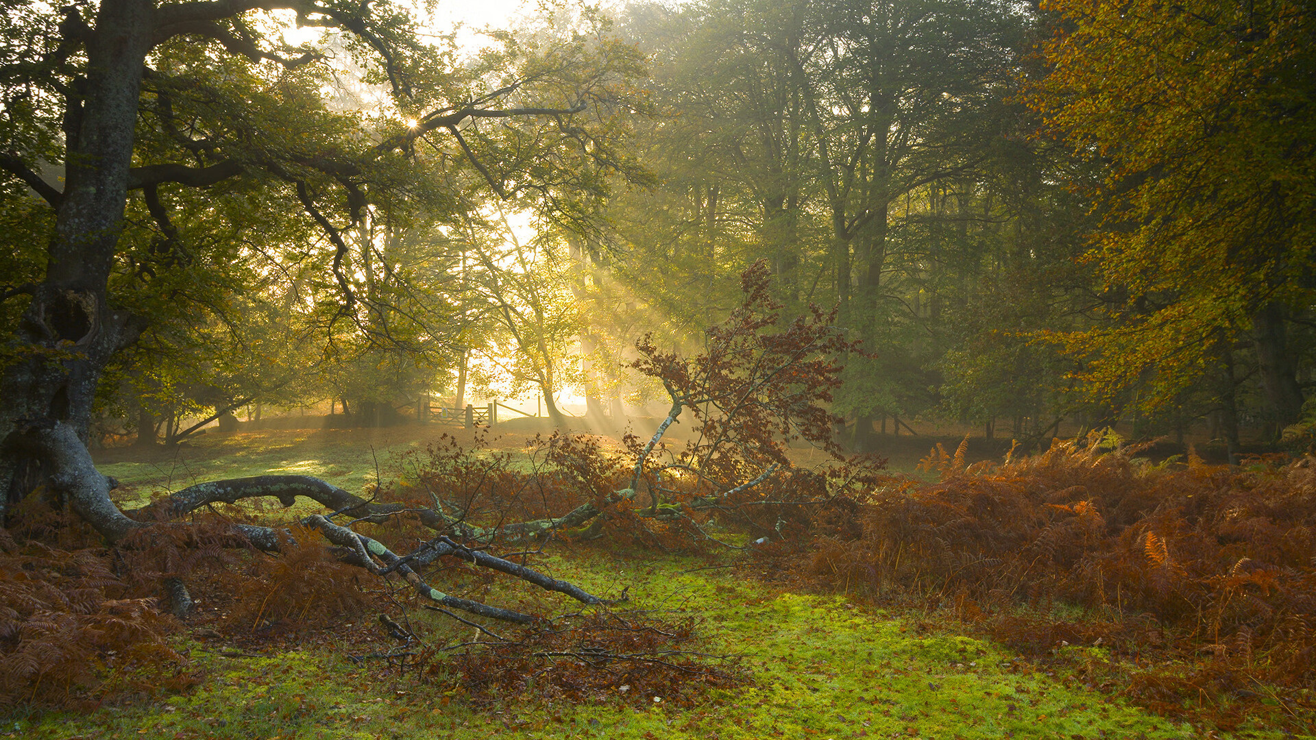kaiyun开云·官方网站-赫塔菲主场击败西班牙人，积极备战，赫塔费vs西班牙人比分预测