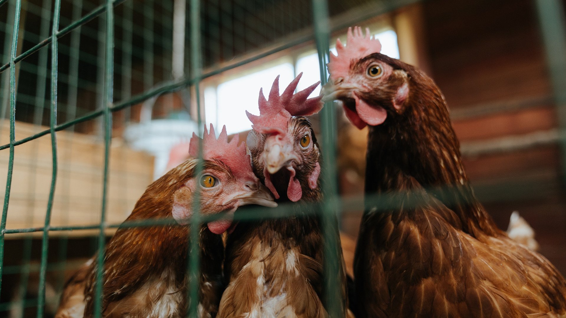 Kaiyun官方登录入口-韩旭贡献多面手表现，韩旭是谁