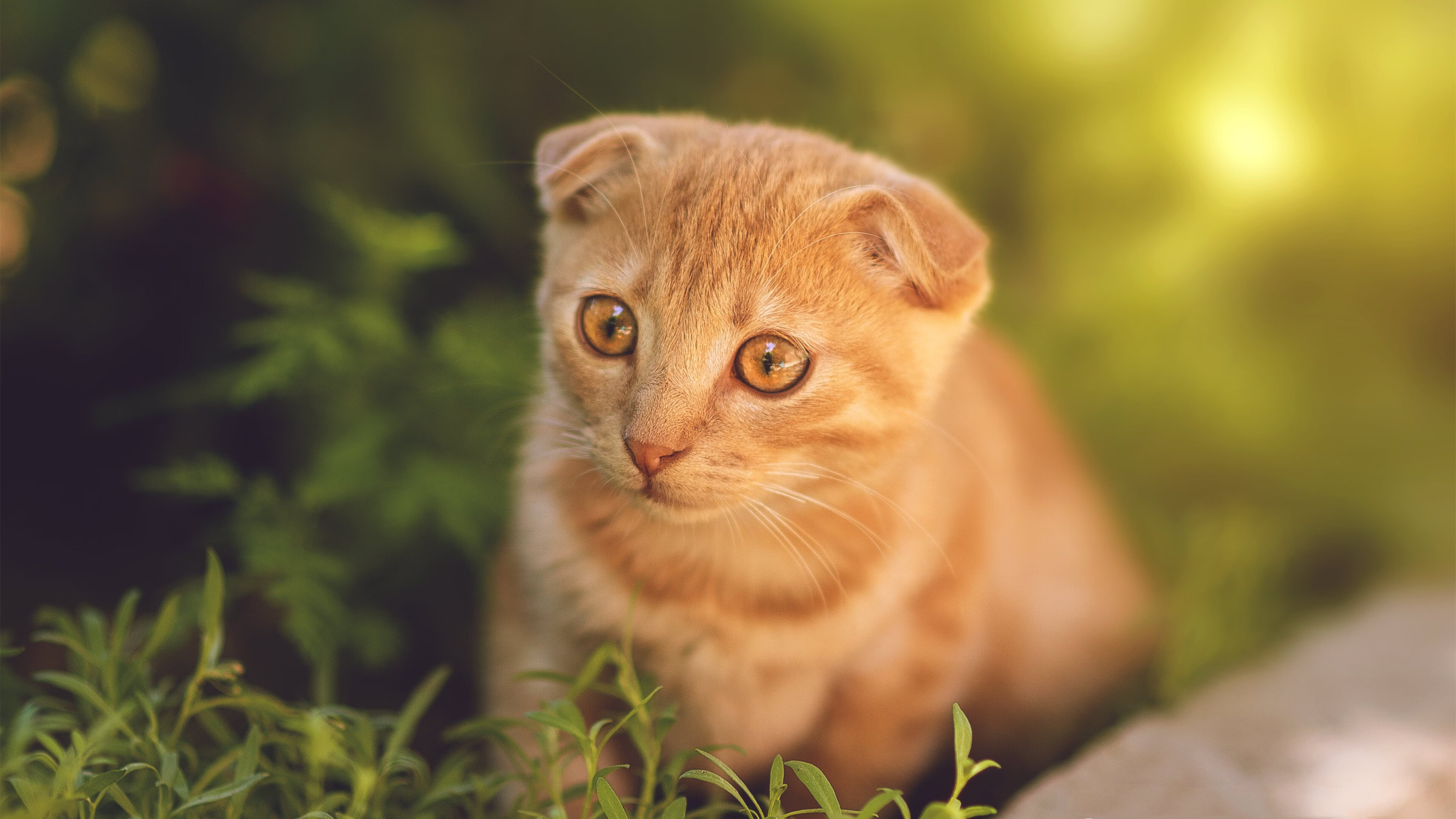 开云中国-意甲球队基于GPS数据优化跑动负荷及战术布置，意甲场均跑动距离