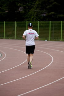 开云官方网站-篮球专项技能训练负荷调节与效果评估研究，基础阶段篮球训练负荷安排