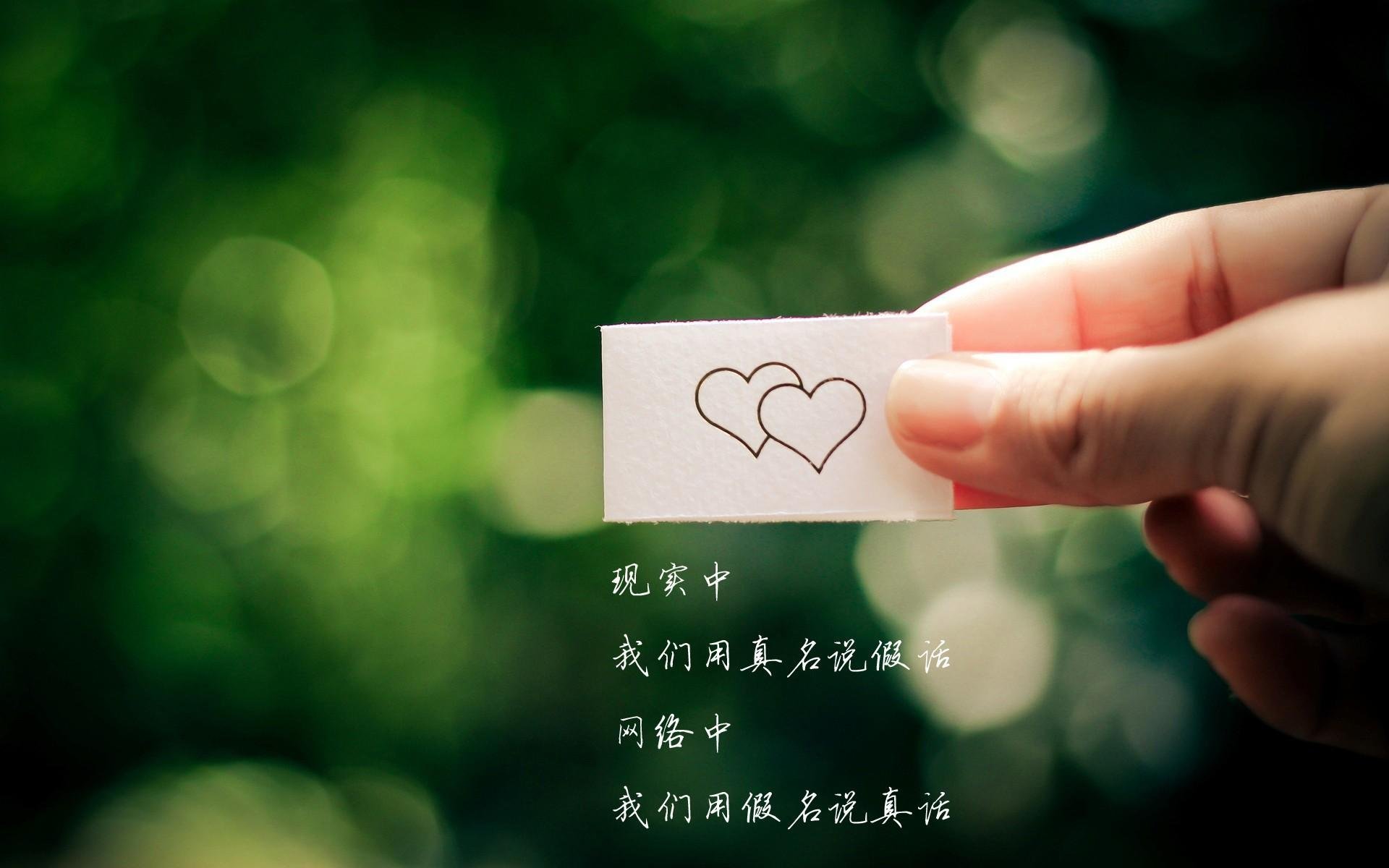 开云官网-中国香港选手横扫赛场，打破个人纪录，香港队员夺冠