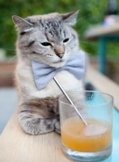 足球青训教练培训引入国外教学法改良版,足球青训课程