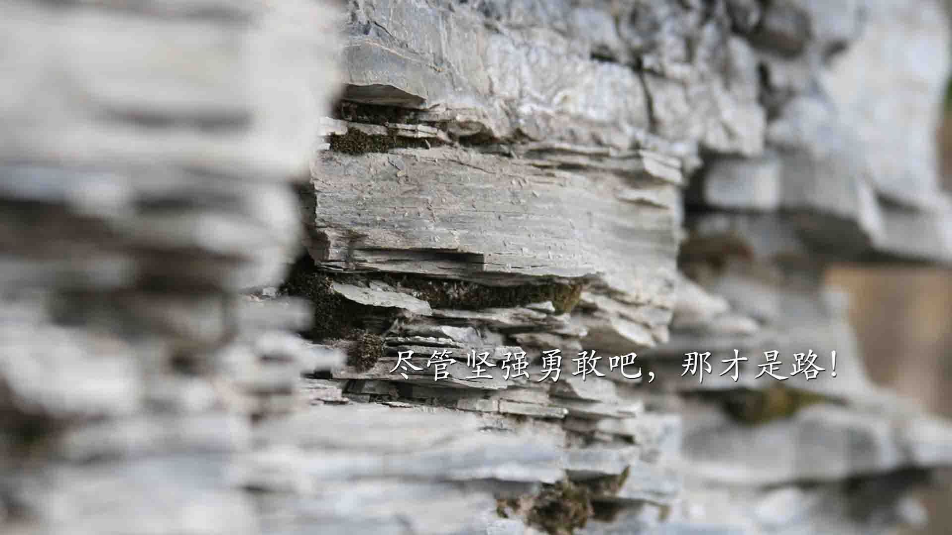 “安赫尔·巴尔博萨的进攻组合与防守调整,助力美洲狮队迎接更强挑战”