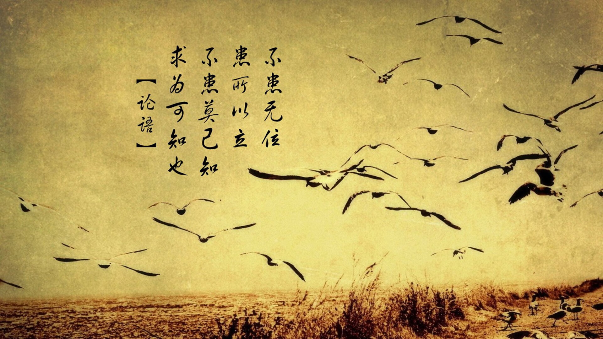 kaiyun.com-欧洲U16青年篮球锦标赛中，东欧新军表现出色，未来可期，欧洲青年冠军联赛u19比分