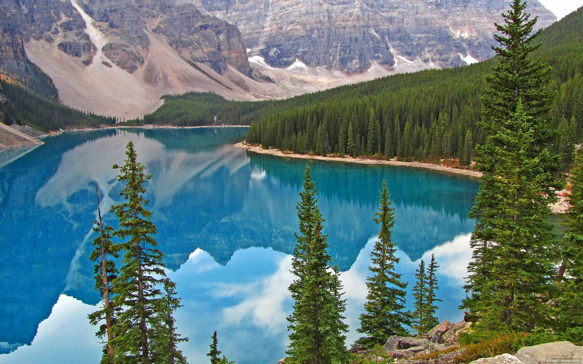 法国新星崭露头角，未来潜力巨大