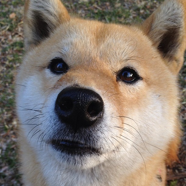 男子蝶泳选手冲击半决赛门槛,男子蝶泳金牌