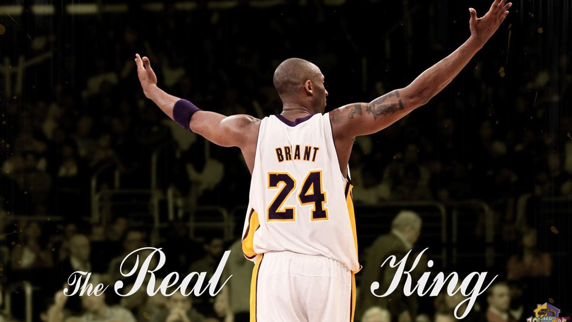 伤情追踪:重点球员的伤病恢复进度